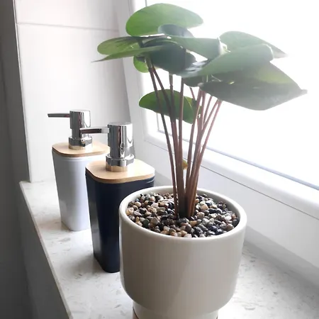 Apartamento Te Amantia *