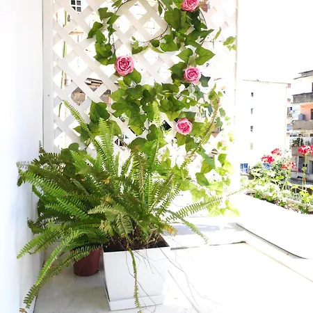 アパート Te Amantia