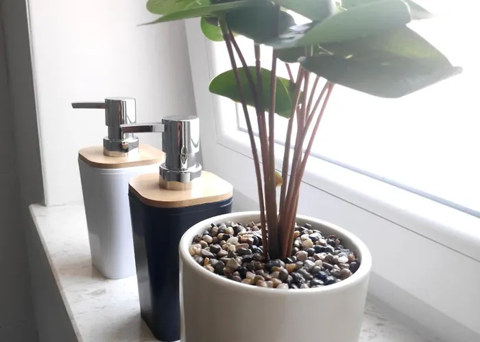 Apartman Te Amantia *